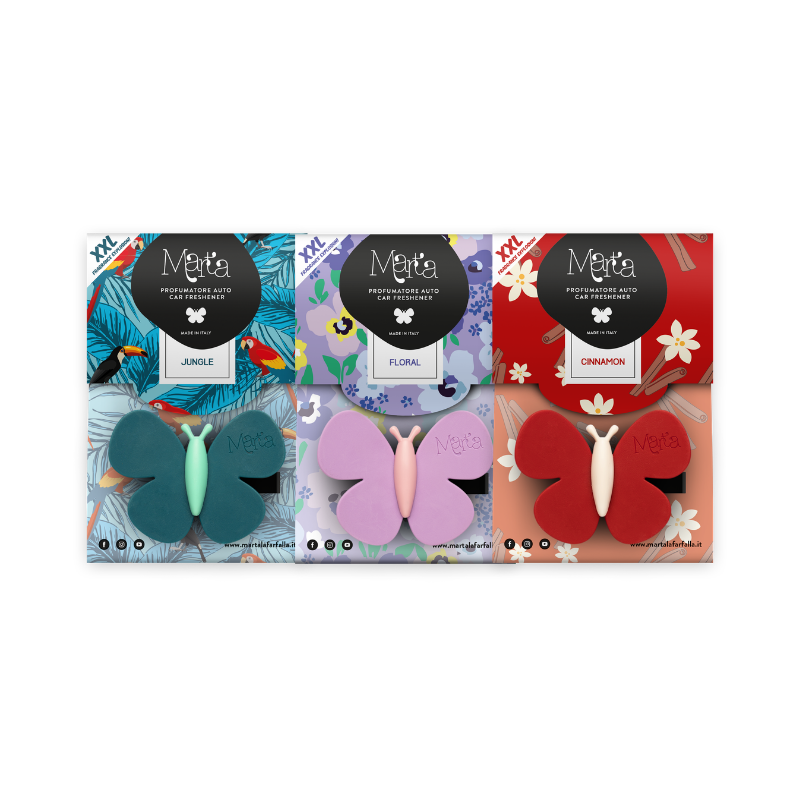 Araç ve Ortam Kokuları